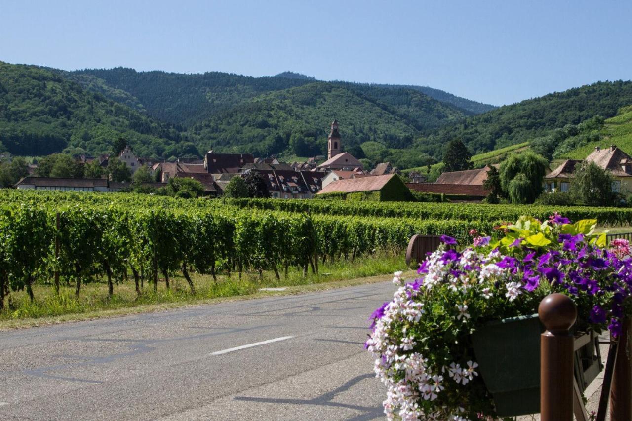 Hotel Berceau Du Vigneron Turckheim Exterior foto